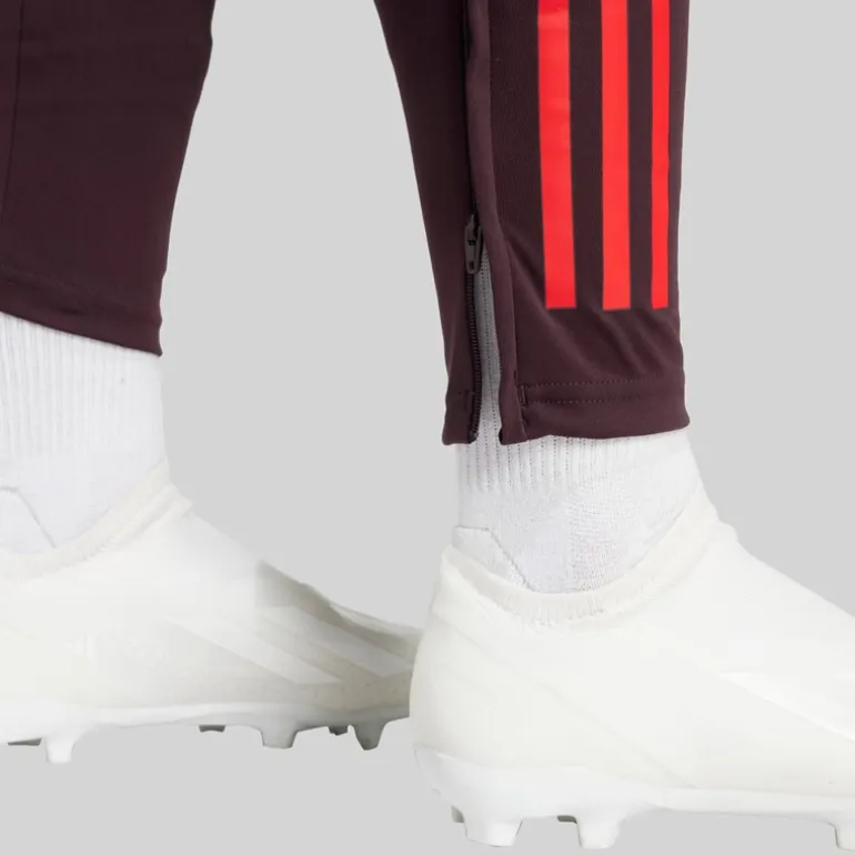 adidas Damen FCB FC Bayern München Trainingshose Shadow Maroon/Rot