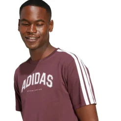 adidas Herren Codes Collegiate Linear Grafik T Shirt Aurora Ruby