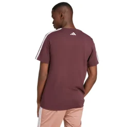 adidas Herren Codes Collegiate Linear Grafik T Shirt Aurora Ruby