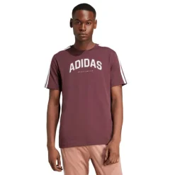 adidas Herren Codes Collegiate Linear Grafik T Shirt Aurora Ruby