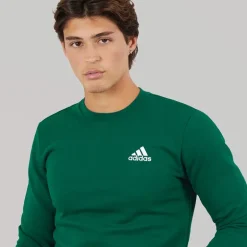 adidas Herren Essentials Rundhals Sweatshirt Collegiate Green