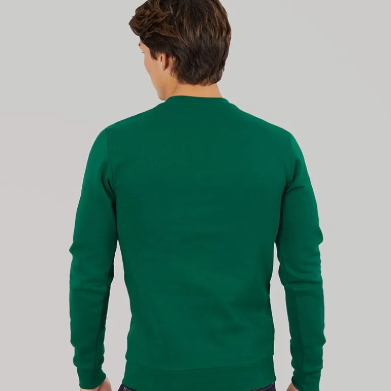 adidas Herren Essentials Rundhals Sweatshirt Collegiate Green