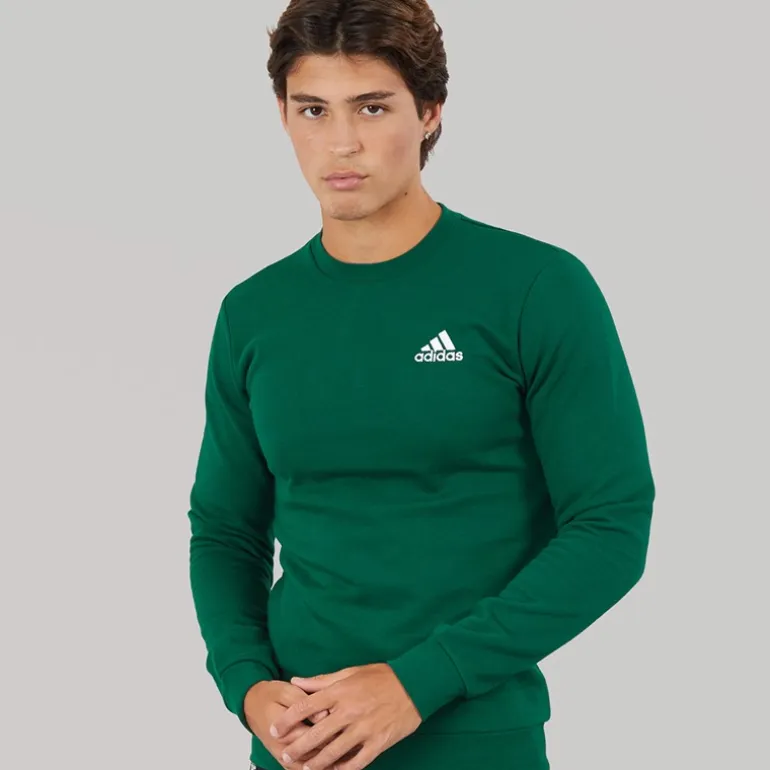 adidas Herren Essentials Rundhals Sweatshirt Collegiate Green