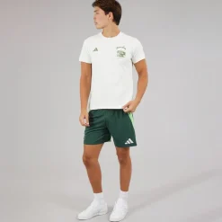adidas Herren FAF Algerien Auswärts Shorts Mineral Green