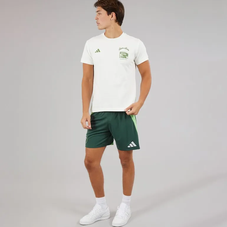 adidas Herren FAF Algerien Auswärts Shorts Mineral Green