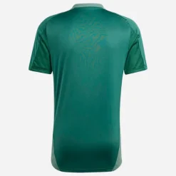 adidas Herren FAF Algerien Tiro 24 Trainings Trikot Dark Green