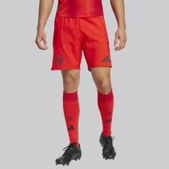 adidas Herren FCB FC Bayern München 24/25 Authentic Heim Shorts Rot