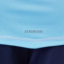 adidas Herren Tiro 24 Pro Torwart Trikot Blau