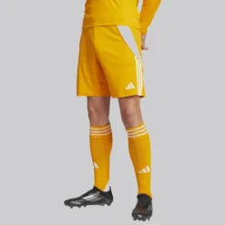 adidas Herren Tiro 24 Trainingsshorts Crew Orange/Weiß