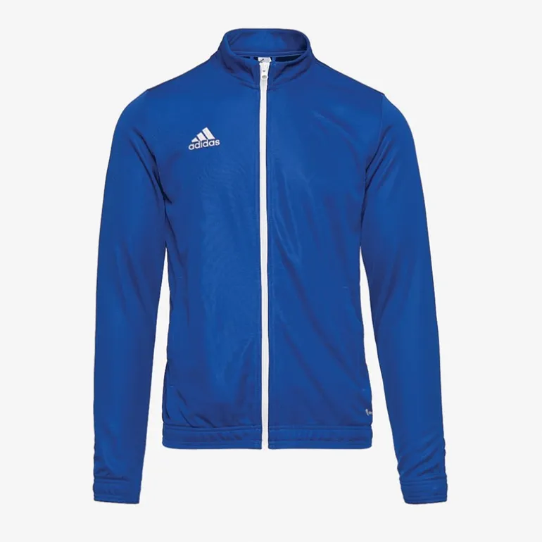 adidas Jungen Entrada 22 Sport Jacken Königsblau