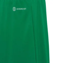 adidas Junior Junge Entrada 22 Shorts Team Green
