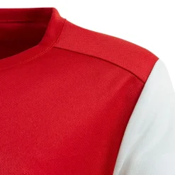 adidas Junior Junge Entrada 19 T Shirt Power Red