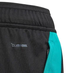 adidas Junior NZR Neuseeland All Blacks Fitness Shorts All Black/Pure Teal