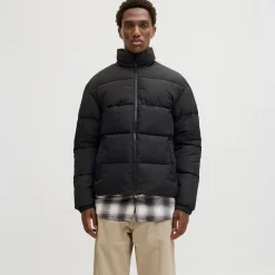JACK & JONES Herren Stehkragen Steppjacke Schwarz