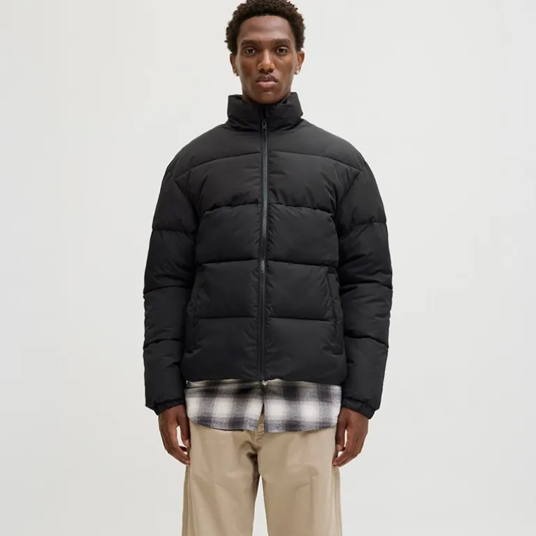 JACK & JONES Herren Stehkragen Steppjacke Schwarz