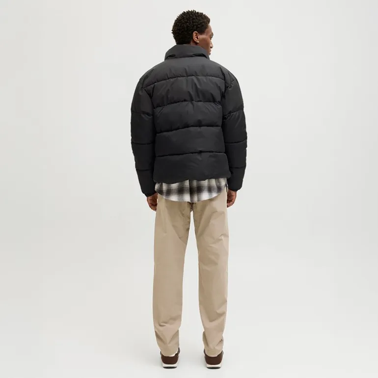 JACK & JONES Herren Stehkragen Steppjacke Schwarz