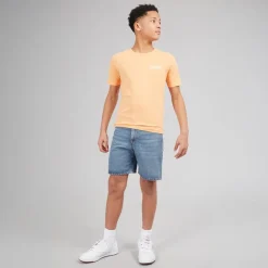 JACK & JONES Junge Tony Akm 310 Shorts Blue Denim
