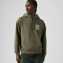 Levi's Herren Relaxed Grafik Hoodie Kambaba