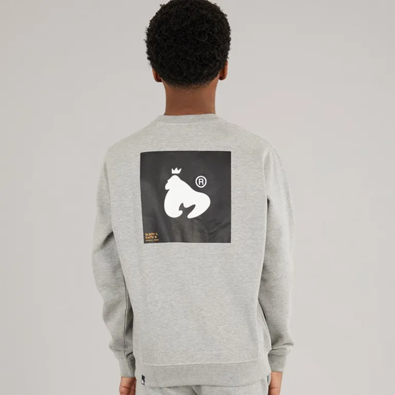 Money Sweatshirt Junge Relax Crew Grau