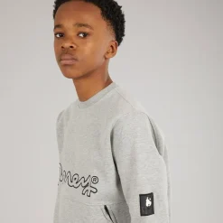 Money Sweatshirt Junge Relax Crew Grau