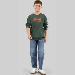 Name It Junge Byron Sweatshirt Urban Chic