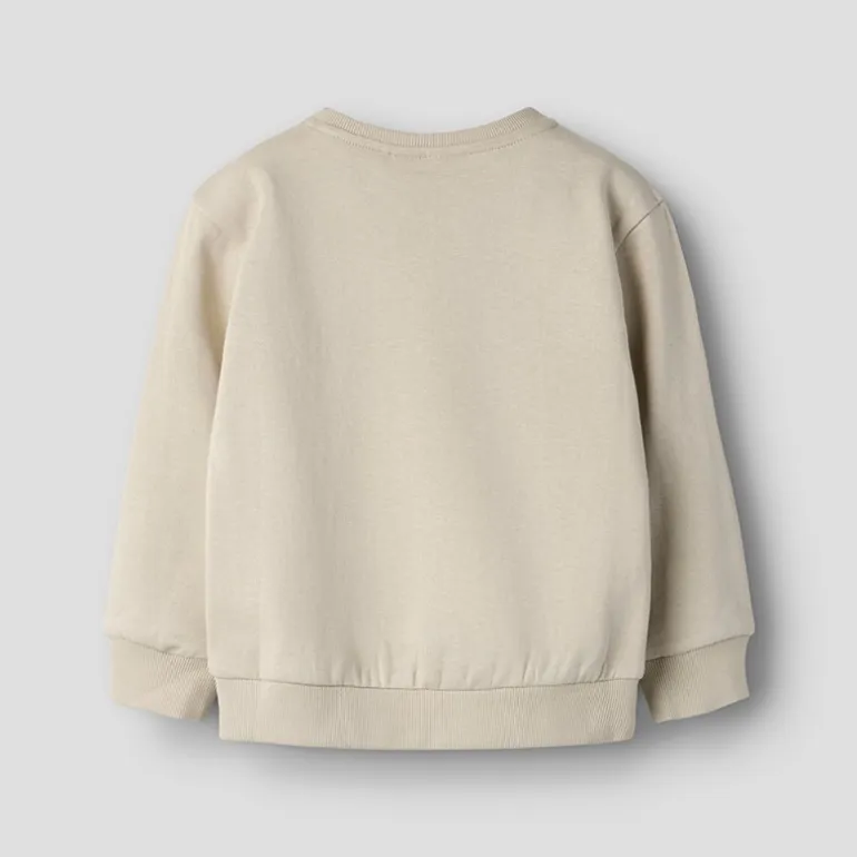 Name It Junge Mini Ditlef Sweatshirt Peyote