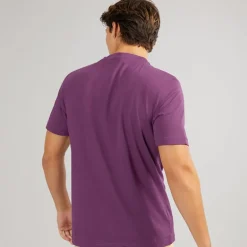 Napapijri Herren Lodestar T-Shirt Purple Pass